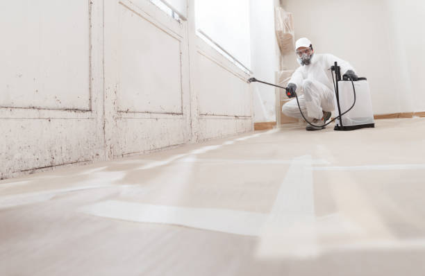 24/7 Emergency Mold Remediation experts in Bellevue, WA
