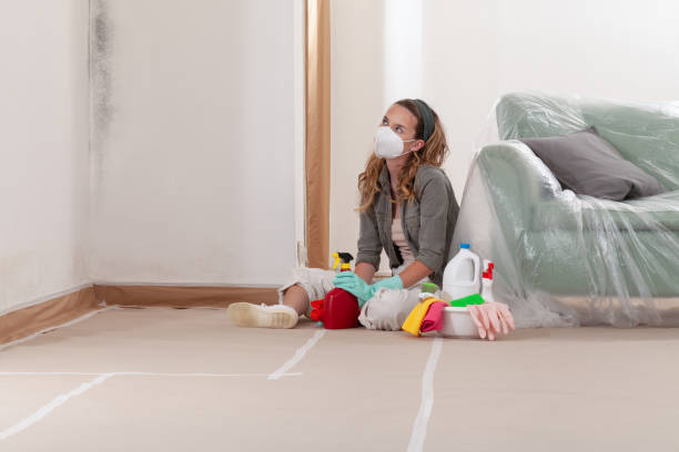 Reliable Mold Remediation contractor in Bellevue, WA by WQB Mold Removal